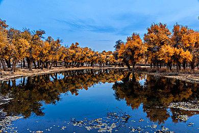《消逝的光芒2》共支持17种语言 10种配音 包括中文配音